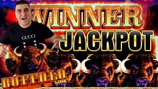 JACKPOT WINNER On High Limit BUFFALO LINK Slot Machine | Las Vegas Casinos JACKPOTS | EP-31