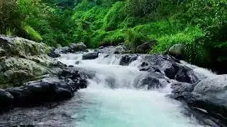The Great Water River Landscape - Erase Stress and Fall Asleep with Nature's Vibe