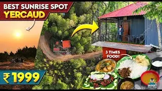 குறைந்த விலையில் காட்டுக்கு நடுவில் தனித்துவமான Stay  உணவுடன் | Yercaud stay| HIDDEN SPOT IN YERCAUD