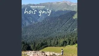Hois Gnig