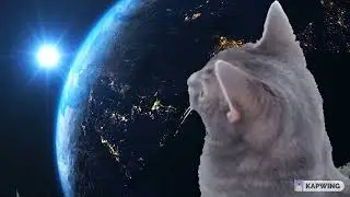 puss car in space