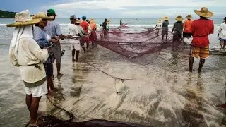 Experiencing Daklis, Together Casting the Net, Sharing the Produce #shorts 