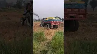 #shorts Tractor aur harvester ka video #viral shorts