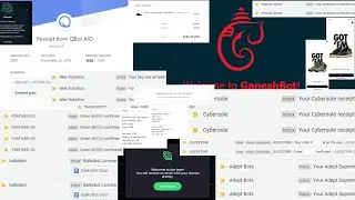 optifiy's 2019 success