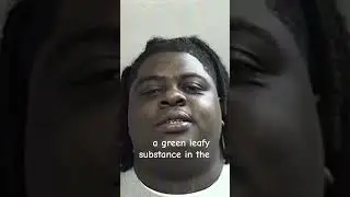 Rapper BigXthaPlug Arrested After Traffic Stop in Arlington #dallas #fortworth #texas