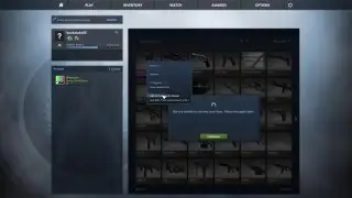 UNBOXING 50 DOLLAR AUG | NEW CHROMA 3 CASE