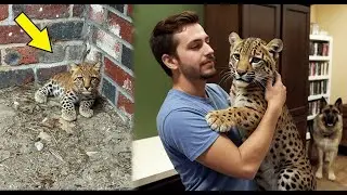 Terrified Leopard Cub Found Huddled Against a Cliff&mdash;Now He Can't Stop Hugging His Savior!