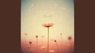 Illusion of Control