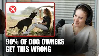 Scientists Reveal How Dogs Actually Process Human Communication