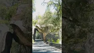 Driving Into Yosemite: The Arch Rock Entrance! 🏞️🐾#shorts