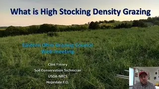 What is High Stock Density Grazing?