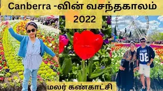 Floriade-2022 | Canberra| Flower Show| Night Feast | Tulip Flowers