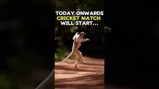 Exciting IPL Cricket Match Highlights 🔥#IPL#Cricket#Match #Sports #Entertainment #funny #motivation