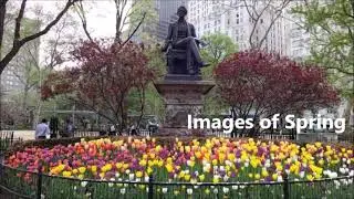 Images of Spring -  Immersive Classical, Jazz & Blues Composition
