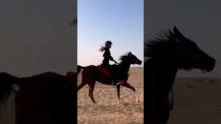 Endurance training 25km | Madison The Rider