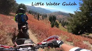 Little Water Gulch
