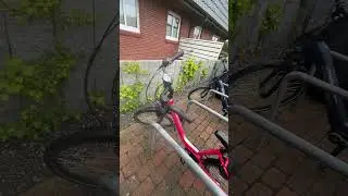 Cycle culture in Germany