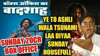 Pathaan 19th Day Sunday Collection Huge Jump! New Record | Shahrukh Khan | John Abraham