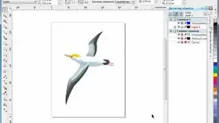 CorelDRAW X5 для начинающих. Оптимизация изображения (9.10)