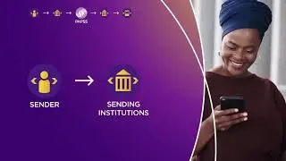 The Pan-African Payment and Settlement System (PAPSS)