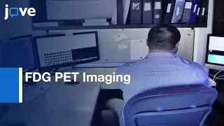 FDG PET Imaging for Studying M. tuberculosis Infection and Treatment | Protocol Preview