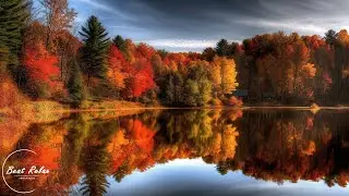 Autumn Instrumental Music 4K – Chill Moments Amidst Stunning Nature