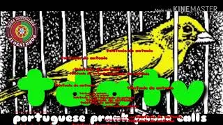 #27 can&aacute;rio aleijado. tdatv portuguese prank telephone telefone an&ocirc;nimo brincadeira terceira