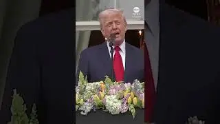 President Trump orders flags at half-staff after death of Pope Francis
