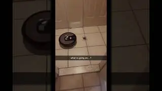 DAMN!!! What is going on with this machine and spider #spider #machine#viral#hacks#shorts#trending