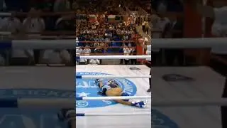 Headkick Knockout