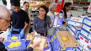 1000's of Kesar & Alphonso (