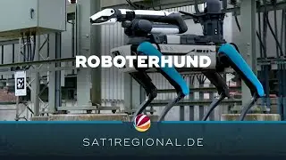 Roboterhund kontrolliert Umspannwerke in Schleswig-Holstein