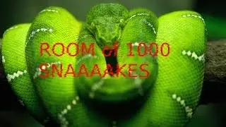 ROOM OF 1000 SNAKES