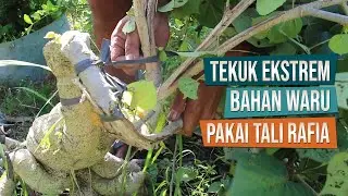Tekuk Ekstrem Bahan Waru Di Ground Pakai Tali Rafia Bersama Mas Pugar Yusuf Dari Gamparan, Prambanan