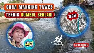 CARA MANCING TAWES TEKNIK KUMBUL BERLARI‼️#mancing #fishing