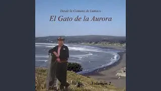 Soy Solito