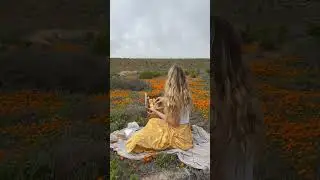 Namaqua Flower Beach Camp, Namaqua National Park - Book on LekkeSlaap