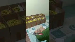 kalian harus belajar jualan #cabai