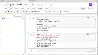 Script format of function calls