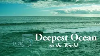 Top 5 Deepest Ocean in the World by Average Depth