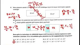 2025-2026 8. Sınıf LGS 12. Deneme, Arı TG, Matematik