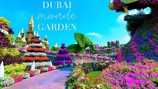 [4K] Dubai Miracle Garden 2024 - Full Walking Tour of The Worlds Largest Flower Garden 🌺