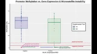 Extremely Thorough Boxplot Tutorial (ggplot in R)