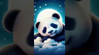 Good night world! #sleep #quotes #classicalmusic #piano #panda #relaxing #goodnight