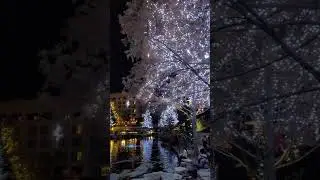 Christmas at Emma Hotel SA Texas
