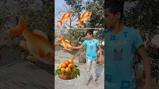 Rounding Fish's to Watermelon, Coconut water, Grapes & Mango - Fruits name magic video #vfxawes