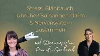 Stress, Bl&auml;hbauch, Unruhe? So h&auml;ngen Darm & Nervensystem zusammen