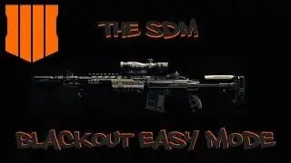 SDM is Silly in Blackout! (Call of Duty: Black Ops 4) (Blackout)