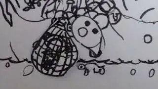 The first episode of the turtle (my cat bumped some of the pictures)
