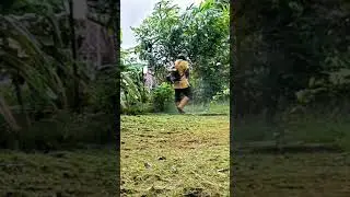 lawn mowing 🌾